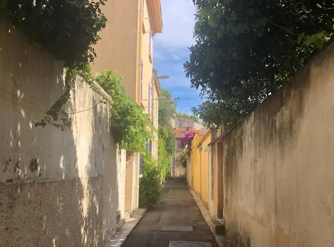 Vieil - Saint Antoine *