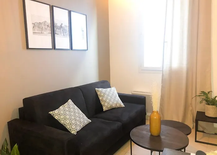 Appartement Vieil - Saint Antoine